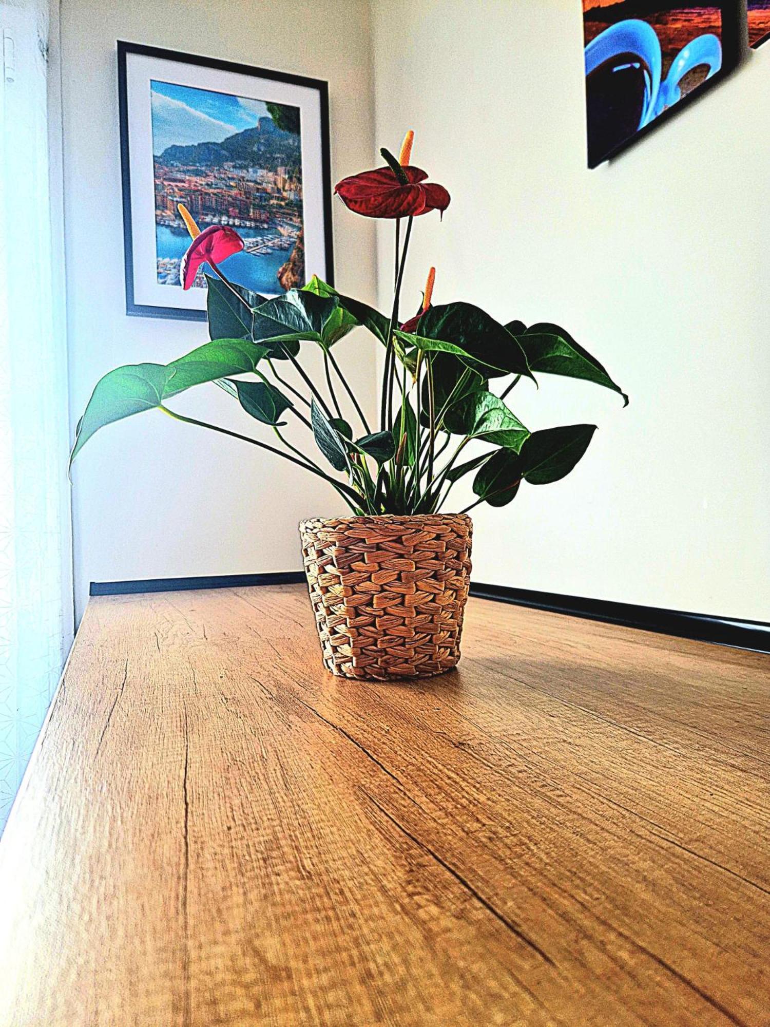 Nissalabella Apartman Nizza Kültér fotó